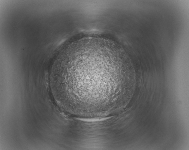 X0000062141301200512231454