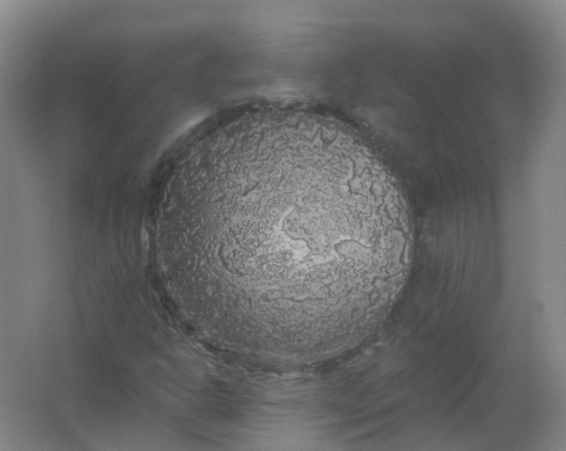 X0000062141302200512231454