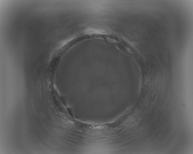 X0000062141303200512231454