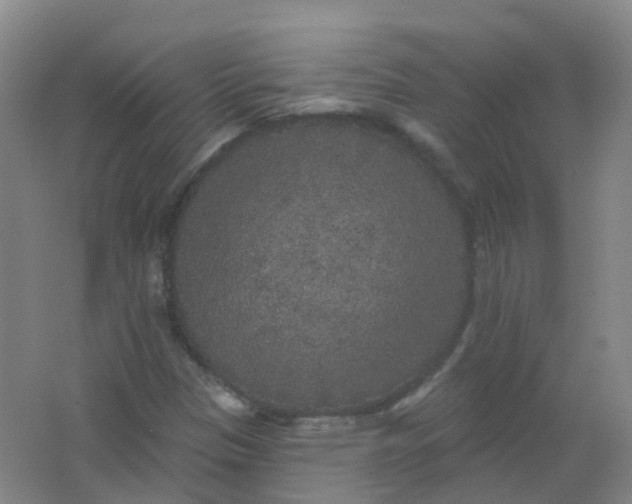 X0000062141305200512231454