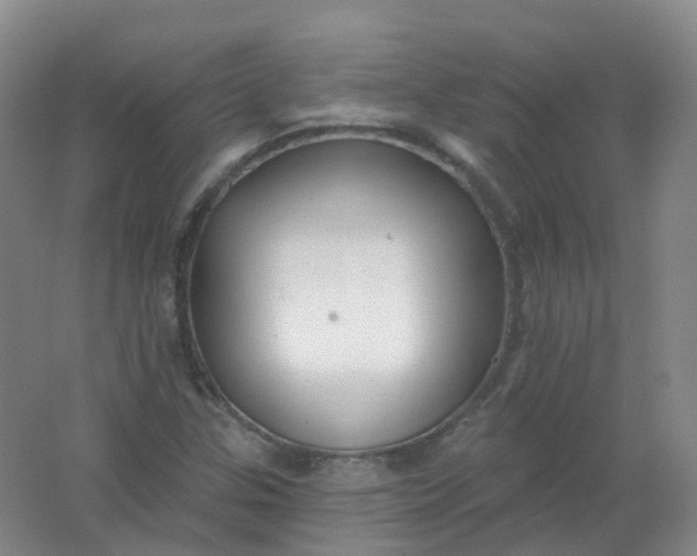 X0000062141307200512231454