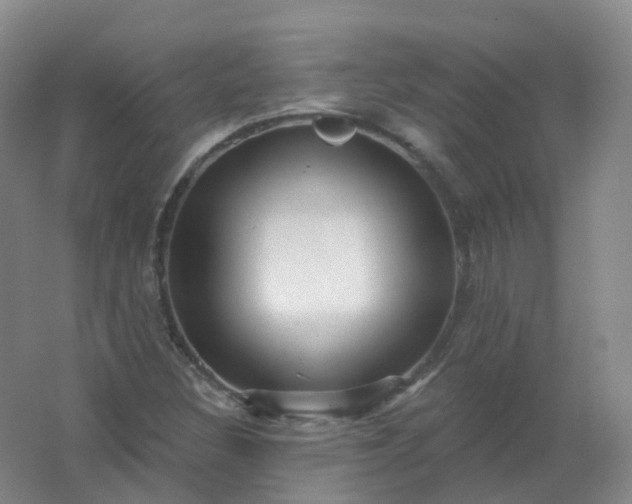 X0000062141308200512231454