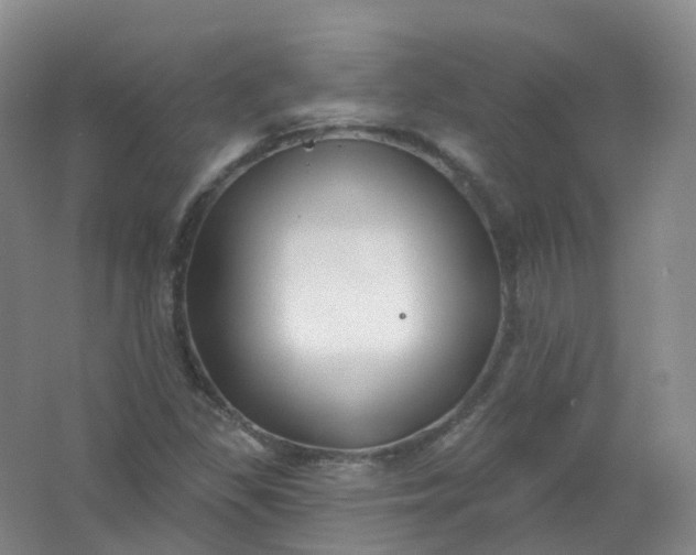 X0000062141309200512231454