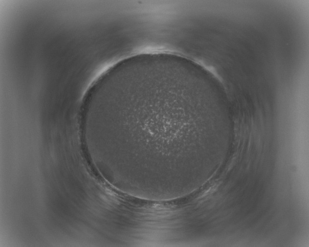 X0000062141311200512231454