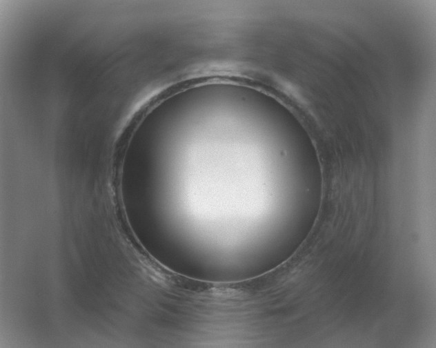 X0000062141312200512231454