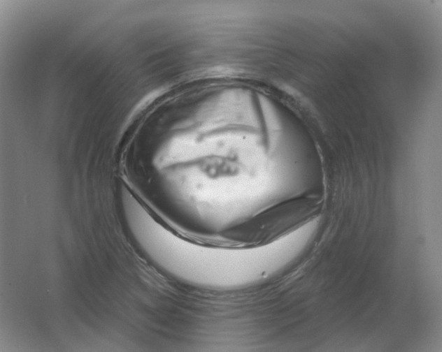 X0000062141314200512231454