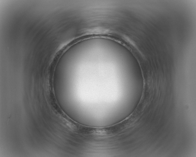 X0000062141315200512231454