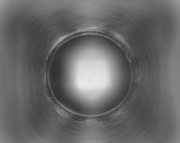 X0000062141316200512231454