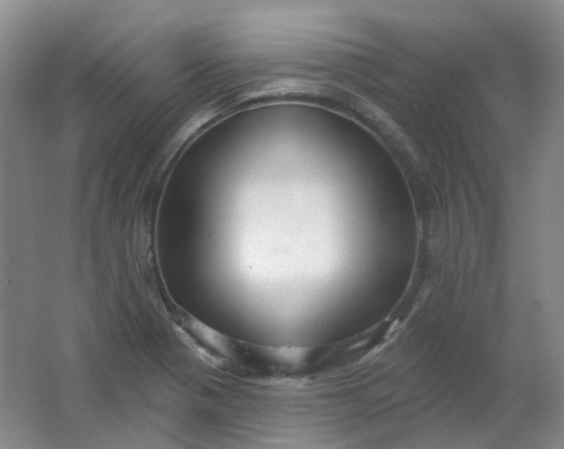 X0000062141321200512231454