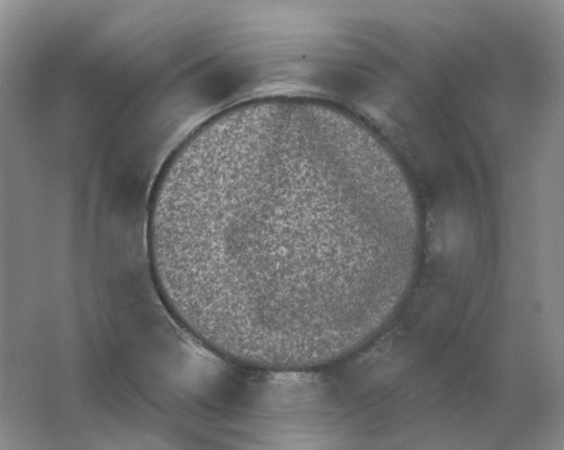 X0000062141322200512231454