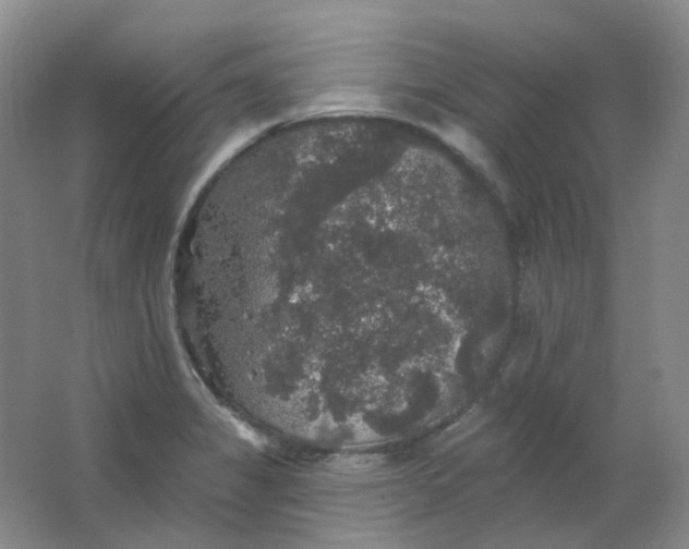 X0000062141325200512231454