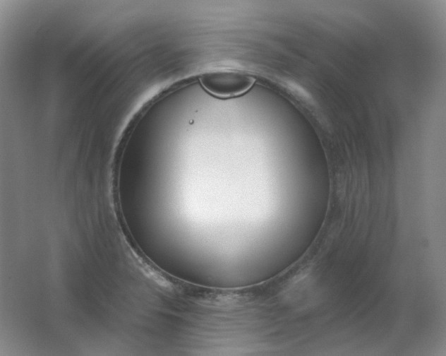 X0000062141326200512231454