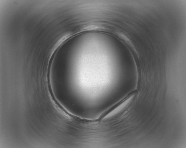 X0000062141330200512231454