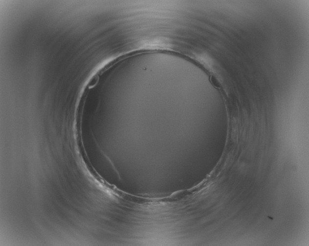 X0000062141331200512231454