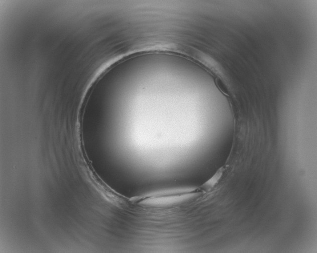 X0000062141332200512231454