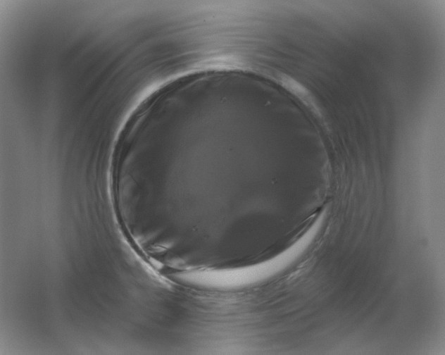 X0000062141334200512231454