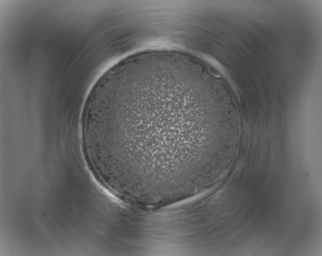 X0000062141335200512231454