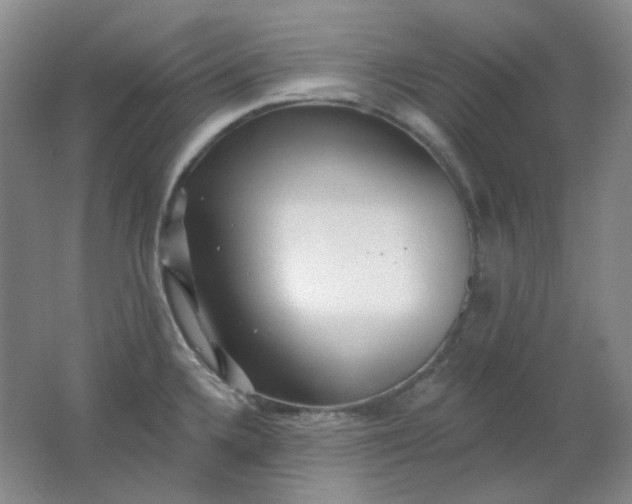 X0000062141336200512231454