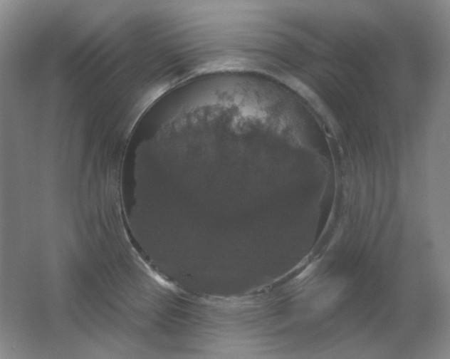 X0000062141337200512231455