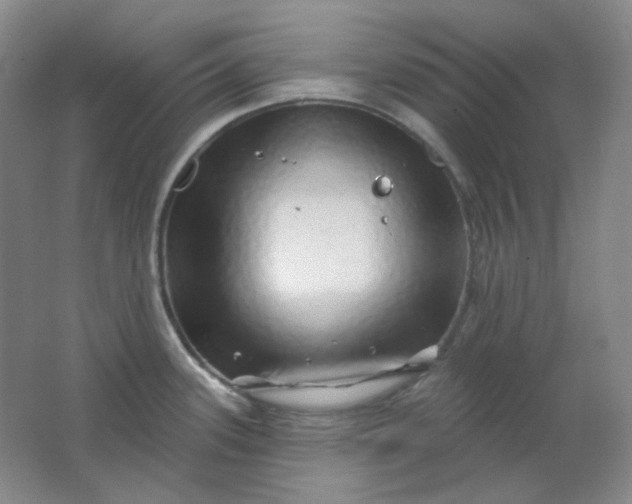 X0000062141339200512231455