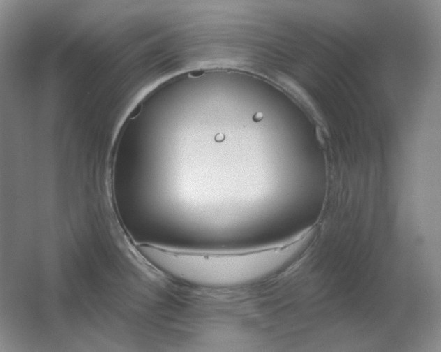 X0000062141340200512231455