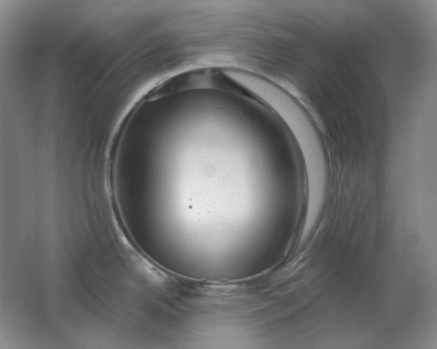 X0000062141342200512231455