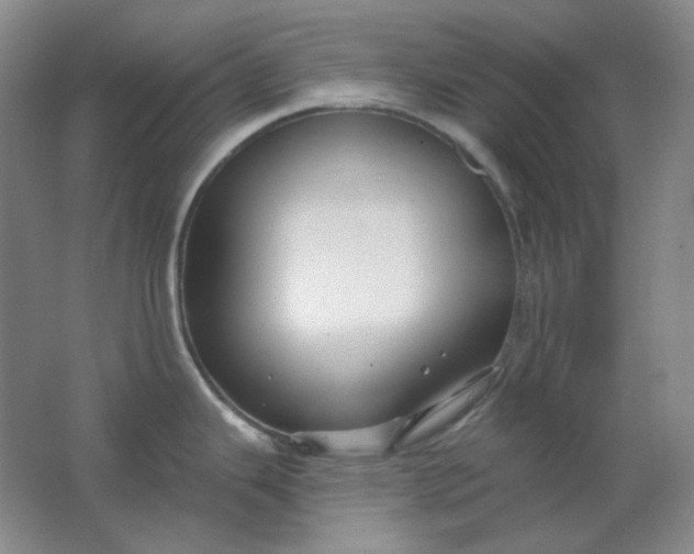 X0000062141343200512231455