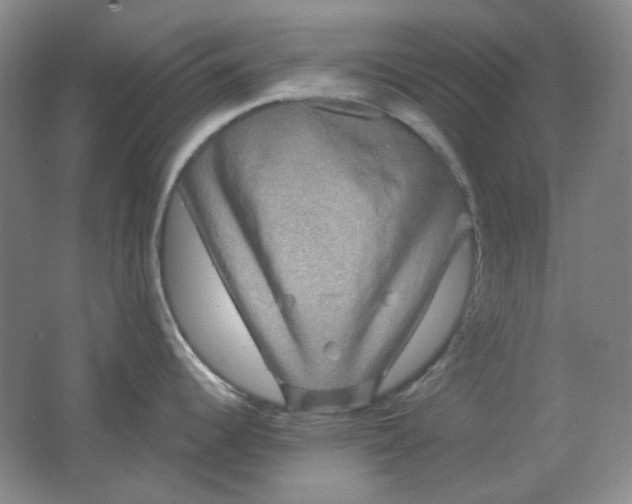 X0000062141344200512231455