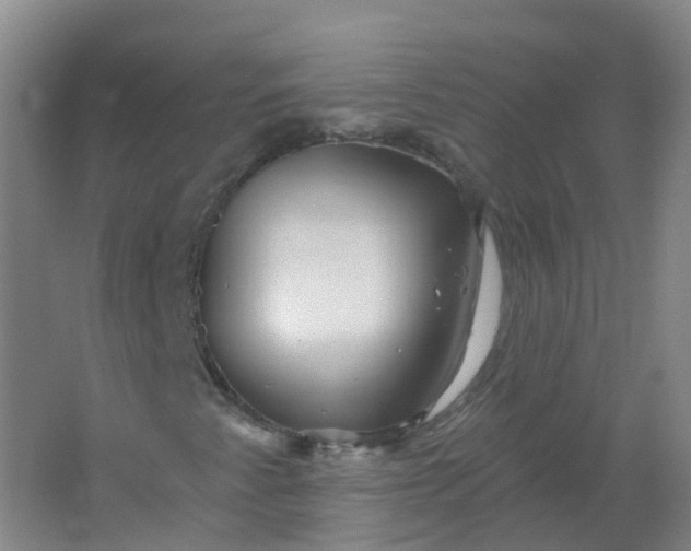 X0000062141345200512231454