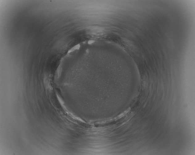 X0000062141346200512231454