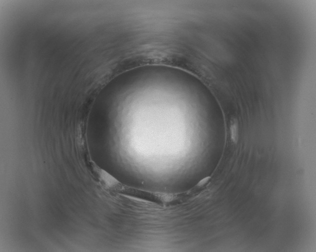 X0000062141347200512231454