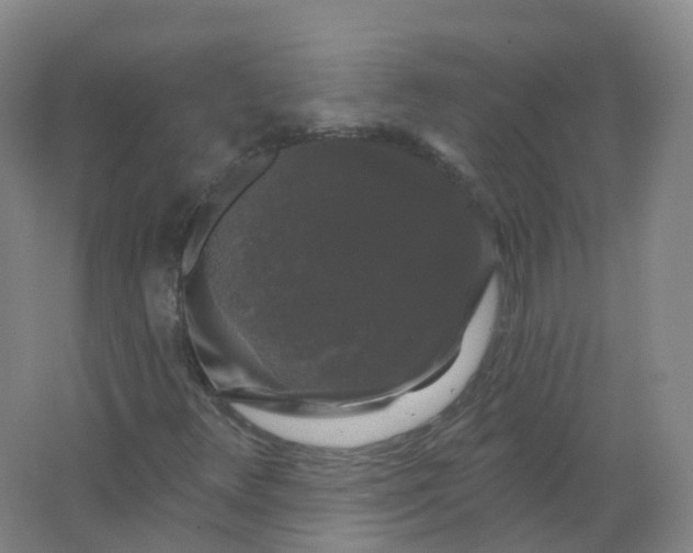 X0000062141348200512231454