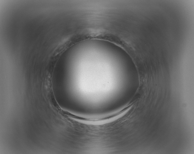 X0000062141349200512231454