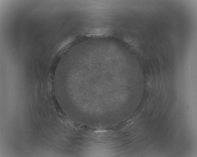 X0000062141350200512231454