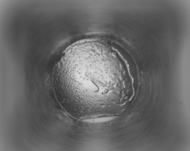 X0000062141351200512231454