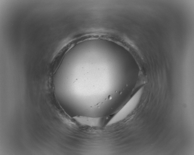 X0000062141352200512231454