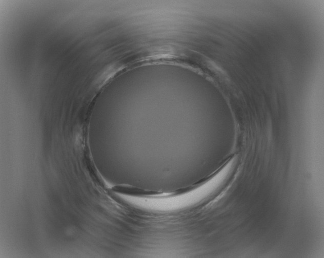 X0000062141353200512231454