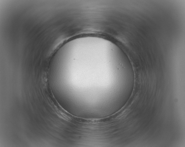 X0000062141355200512231454