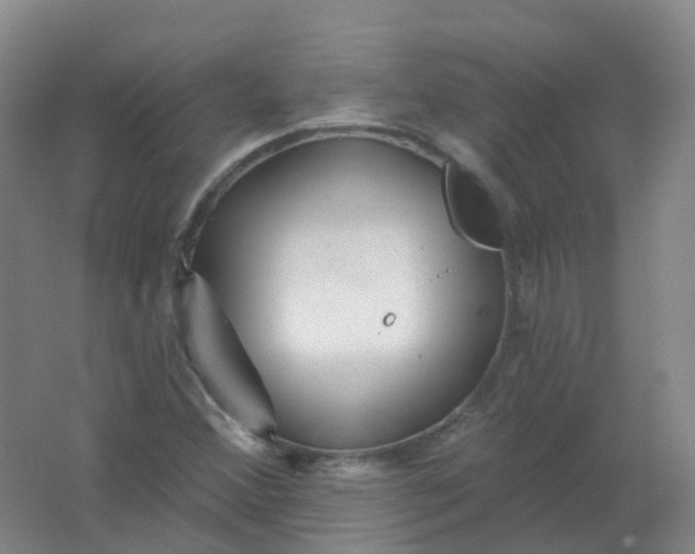 X0000062141356200512231454