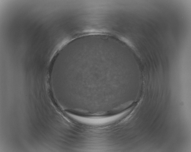 X0000062141357200512231454