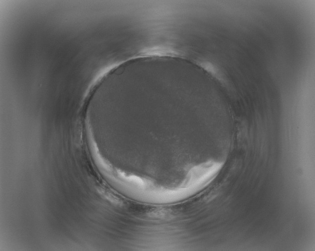 X0000062141358200512231454