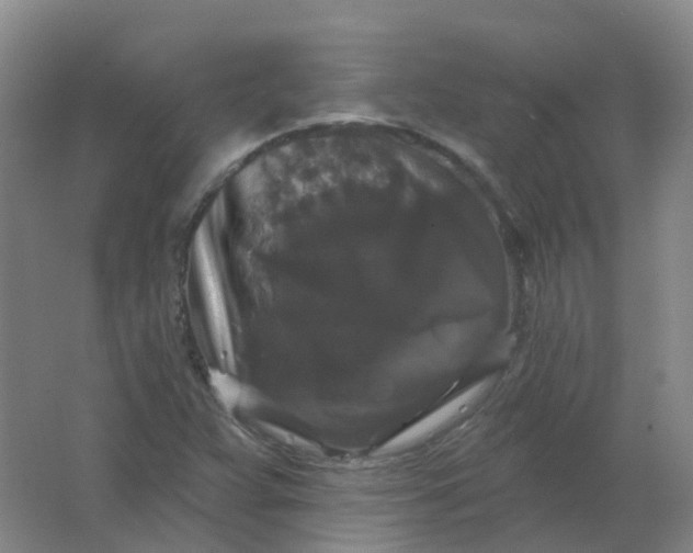 X0000062141359200512231454