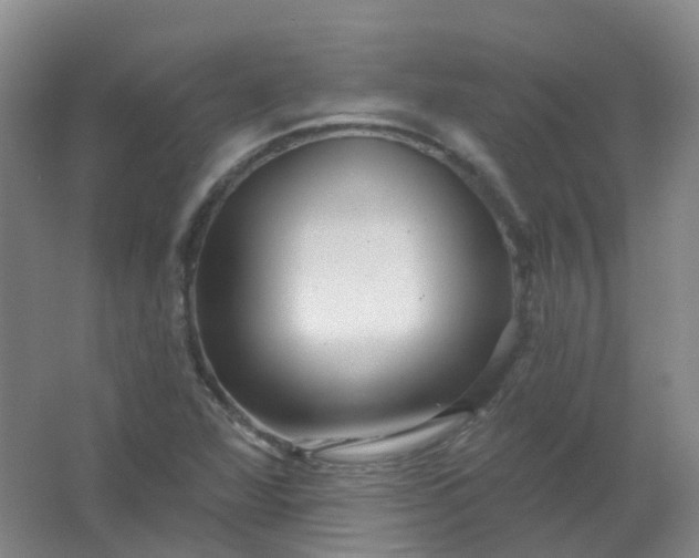 X0000062141360200512231454