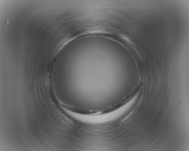 X0000062141361200512231454