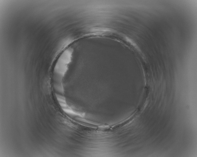 X0000062141362200512231454