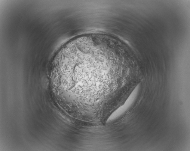 X0000062141363200512231453