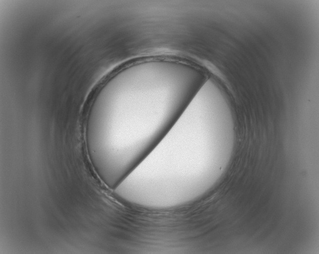 X0000062141364200512231453