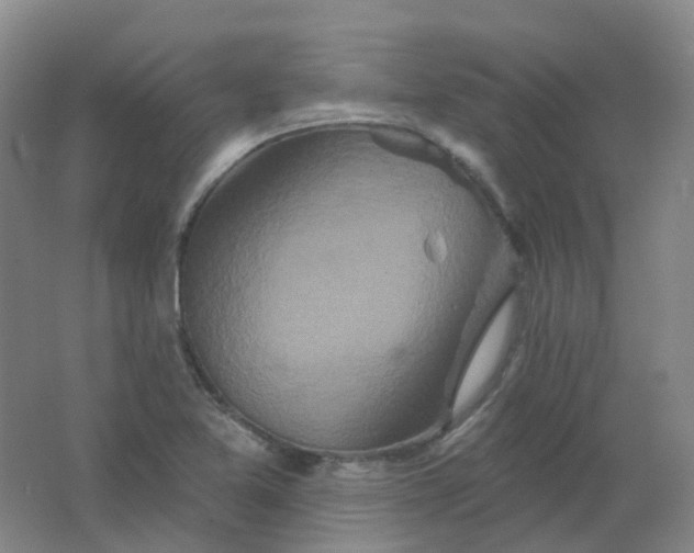 X0000062141365200512231453