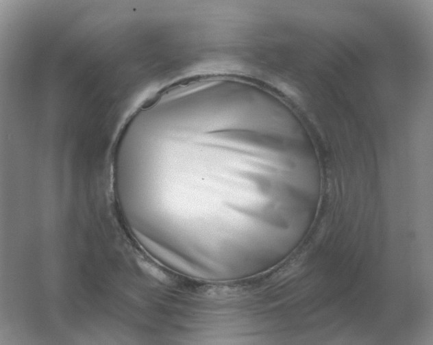 X0000062141366200512231453