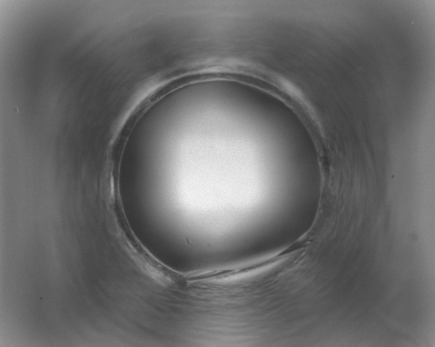 X0000062141368200512231453